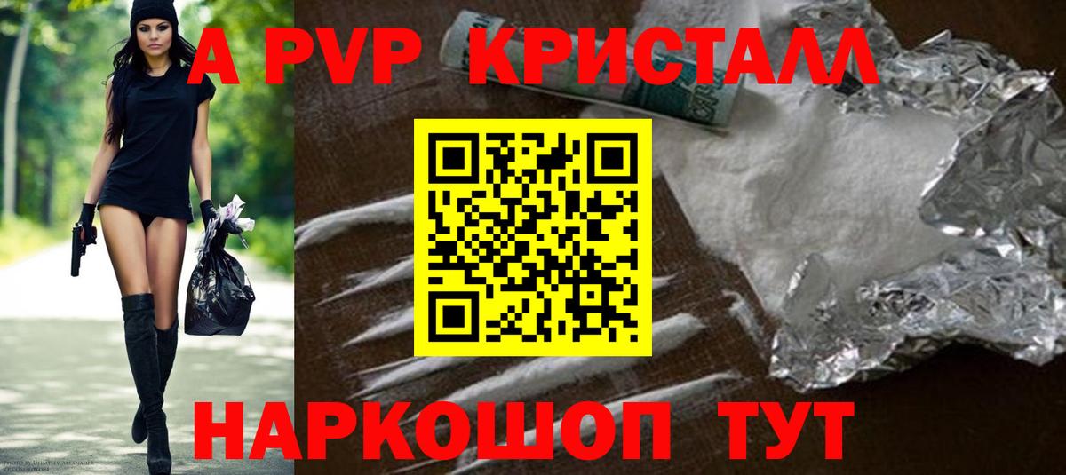A-PVP СК КРИС Губкин