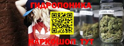 ПСИЛОЦИБИНОВЫЕ ГРИБЫ Ирбит