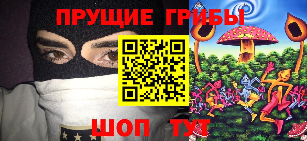 Галлюциногенные грибы GOLDEN TEACHER Губкин