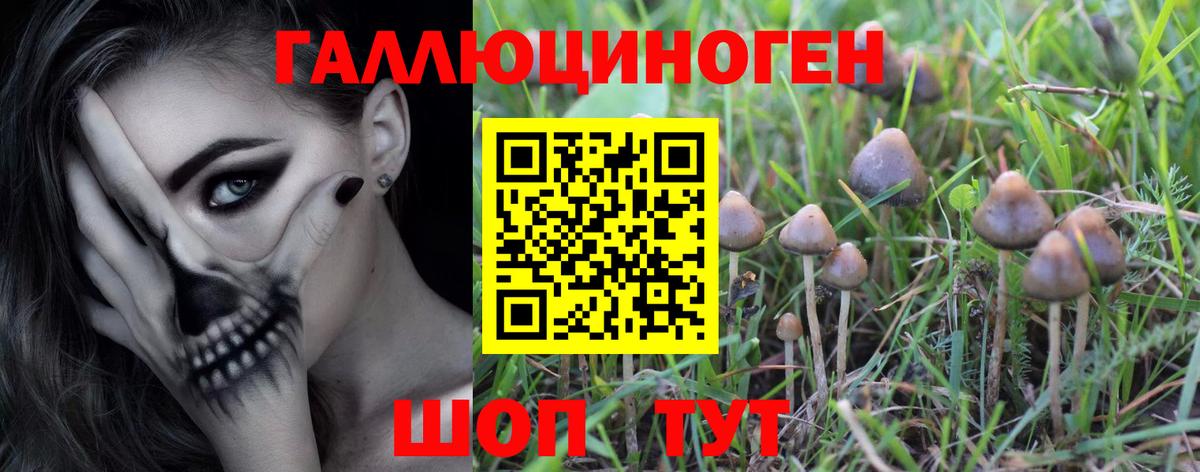 Галлюциногенные грибы GOLDEN TEACHER  Галлюциногенные грибы Magic Shrooms  где продают наркотики  Губкин  Вход с VPN 