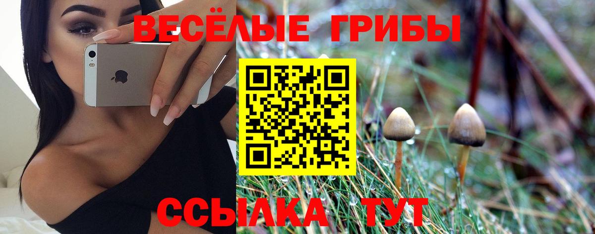 Галлюциногенные грибы Magic Shrooms  Губкин  Галлюциногенные грибы Psilocybe 